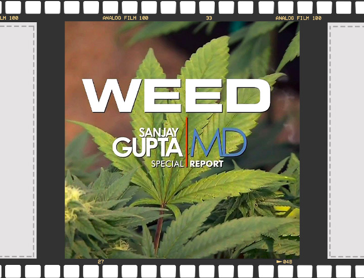 Documentari Didattici e d'Intrattenimento Sulla Cannabis