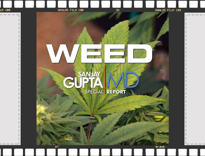 Documentari Didattici e d'Intrattenimento Sulla Cannabis Documentari Didattici e d'Intrattenimento Sulla Cannabis