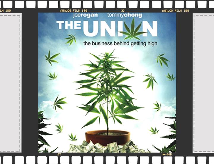 Documentari Didattici e d'Intrattenimento Sulla Cannabis Documentari Didattici e d'Intrattenimento Sulla Cannabis