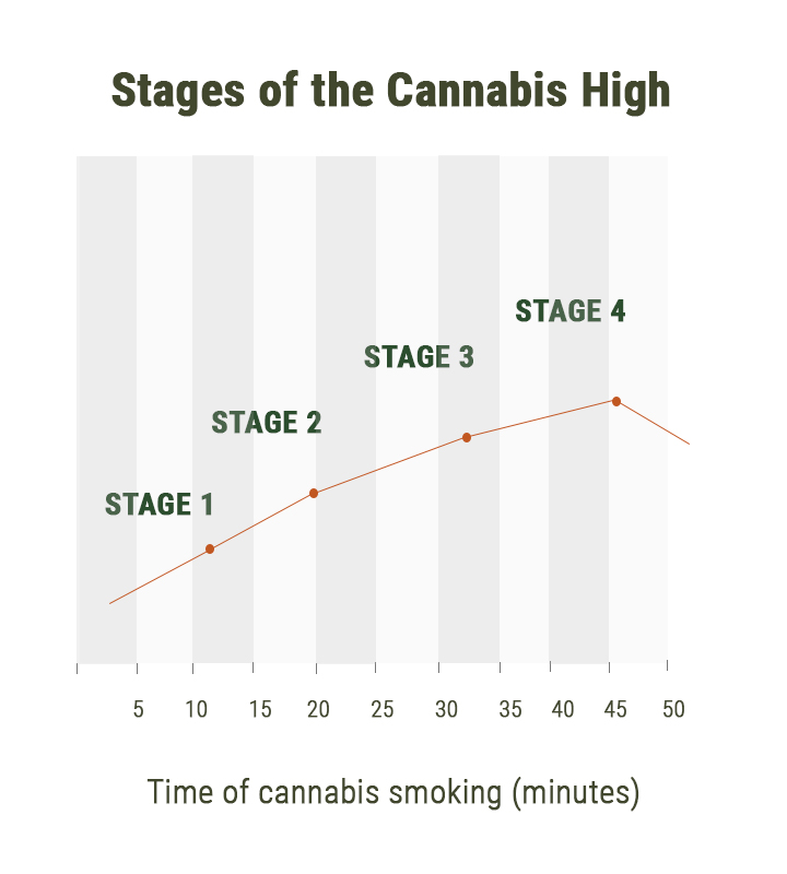 Fasi dello Sballo da Cannabis Fasi dello Sballo da Cannabis