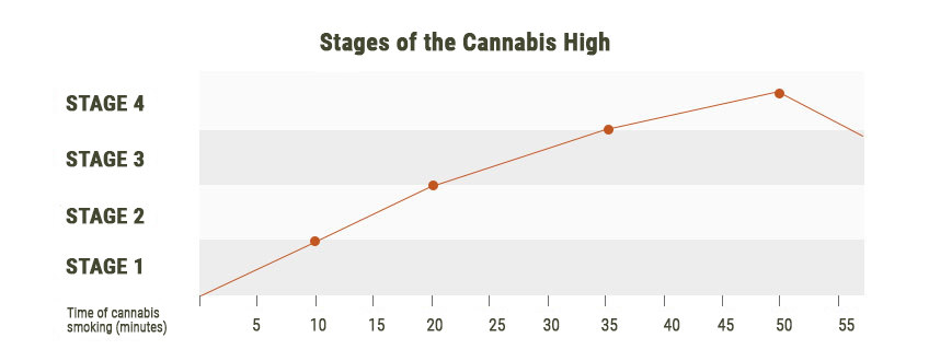 Fasi dello Sballo da Cannabis Fasi dello Sballo da Cannabis