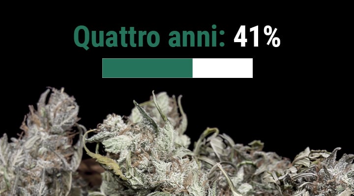 Per quanto tempo si conserva la marijuana?