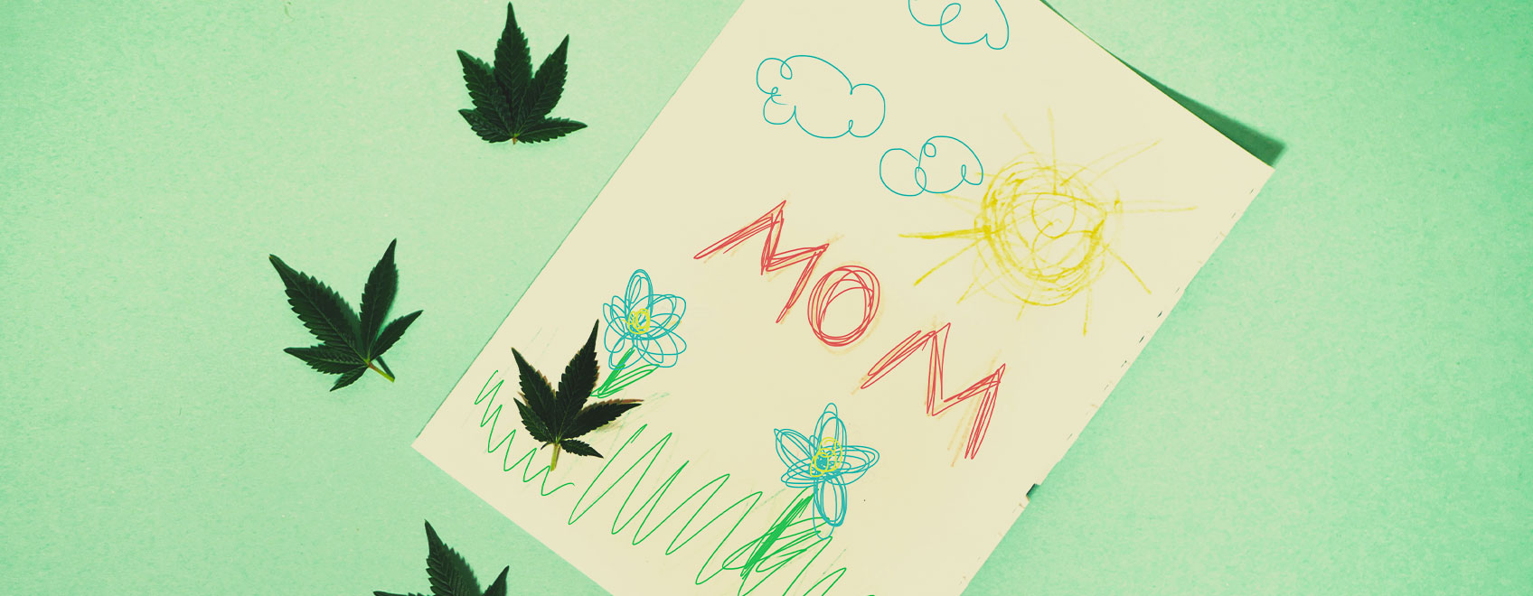 Qual è la cosa più preziosa della cannabis che i nostri figli dovrebbero imparare da noi?