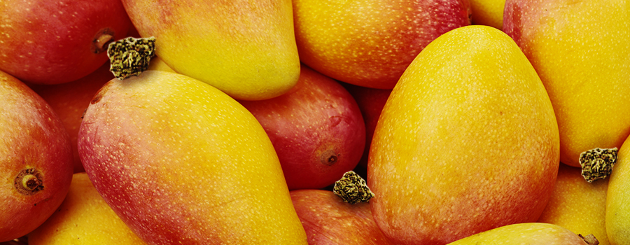 Mangia mango per evitare fame chimica Mangia mango per evitare fame chimica