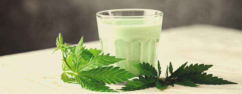Ricetta per Fare il Latte al CBD Vegano