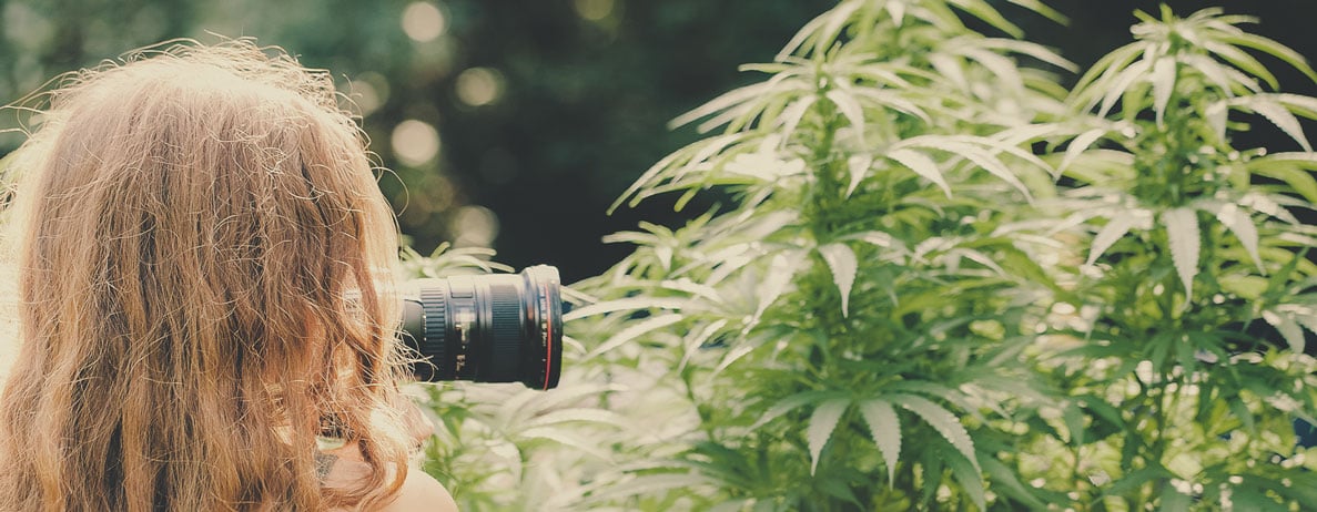 Che tipo di lavoro ci si può aspettare da un fotografo di cannabis (ad esempio nel settore immobiliare, per dispensari, fotoreporter di cannabis…)?