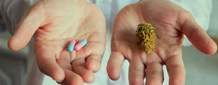 legalizzazione della cannabis medica Tasmania Australia
