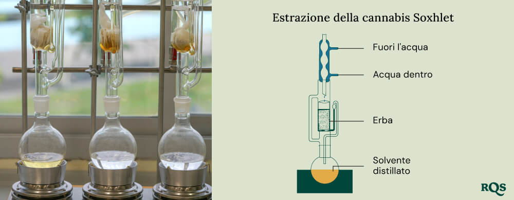 Cannabis soxhlet extraction