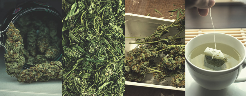 Tipi di Tè alla Marijuana Tipi di Tè alla Marijuana