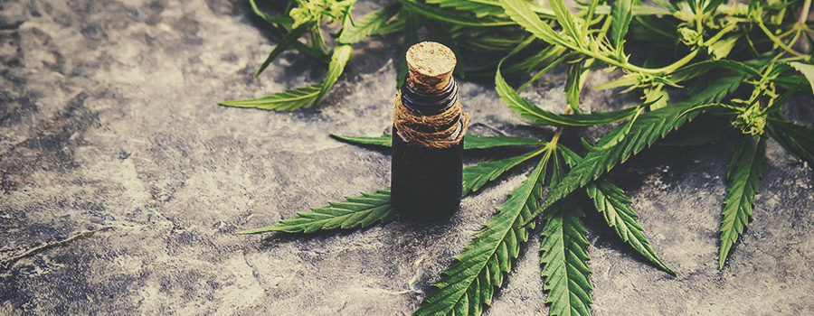 PREPARAZIONE DELLA CANNABIS PREPARAZIONE DELLA CANNABIS