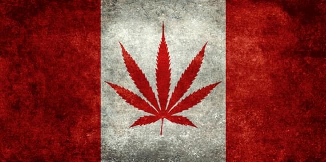 legislazione Canada ricreativo di marijuana medica