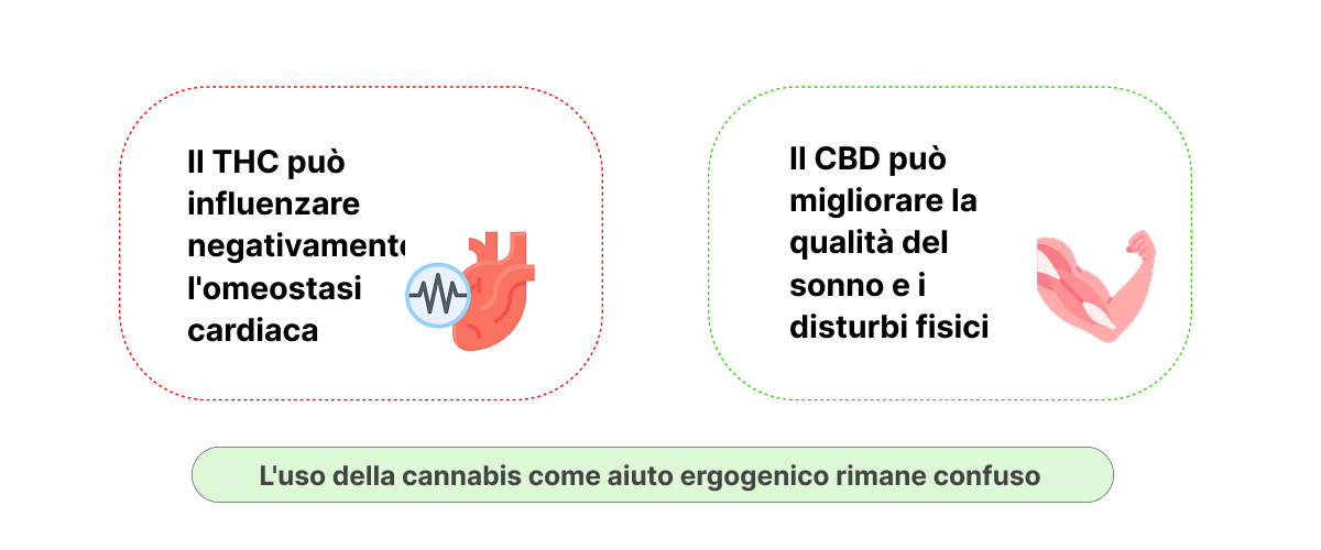 Infografica che mostra i potenziali effetti di THC e CBD sulle prestazioni sportive, l’omeostasi cardiaca, la qualità del sonno e il recupero