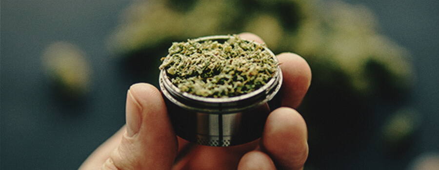 Come cucinare il CBD a casa Come cucinare il CBD a casa