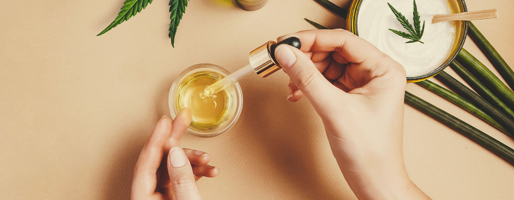 Come fare dell'olio di CBD con le varietà di cannabis terapeutica Come fare dell'olio di CBD con le varietà di cannabis terapeutica