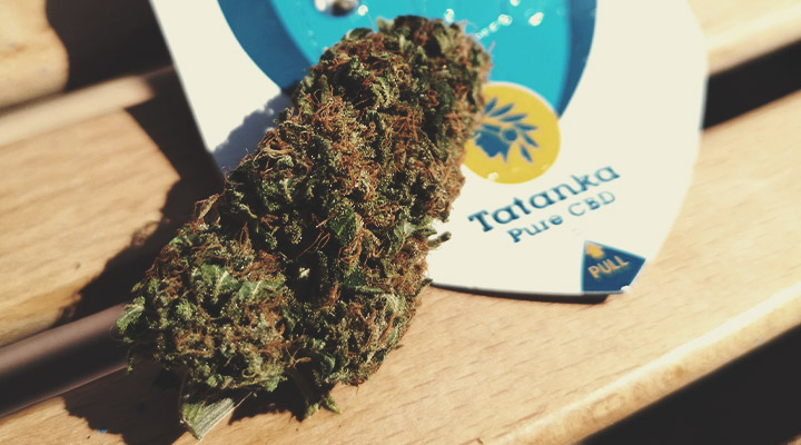 Che tipo di prodotti CBD sono disponibili? Che tipo di prodotti CBD sono disponibili?