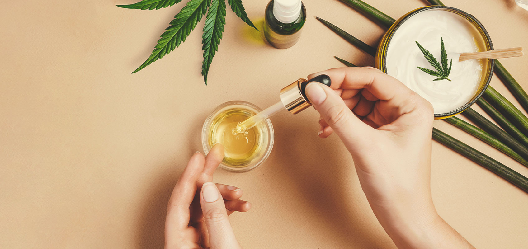 Come fare dell'olio di CBD con le varietà di cannabis terapeutica Come fare dell'olio di CBD con le varietà di cannabis terapeutica