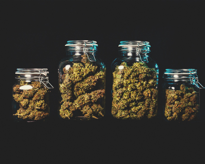 La cannabis può aiutare a studiare meglio? La cannabis può aiutare a studiare meglio?