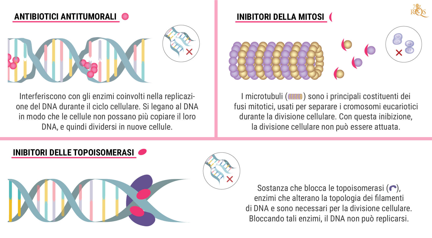 Che cos’è la chemioterapia?