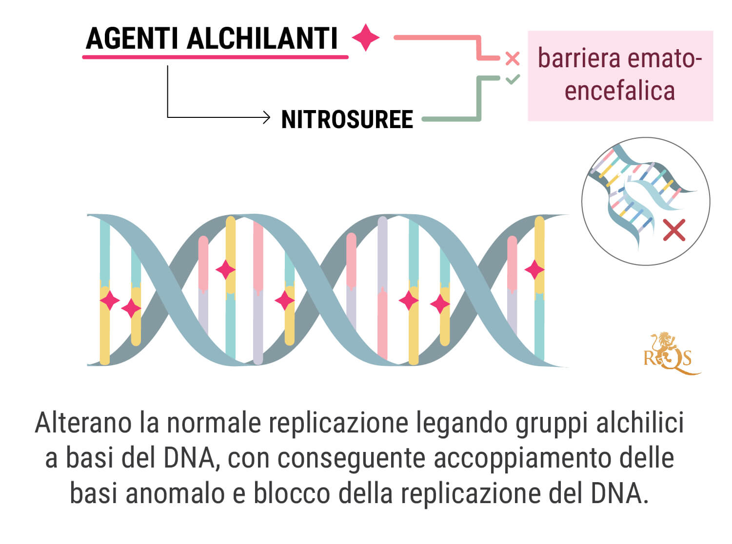 Che cos’è la chemioterapia?