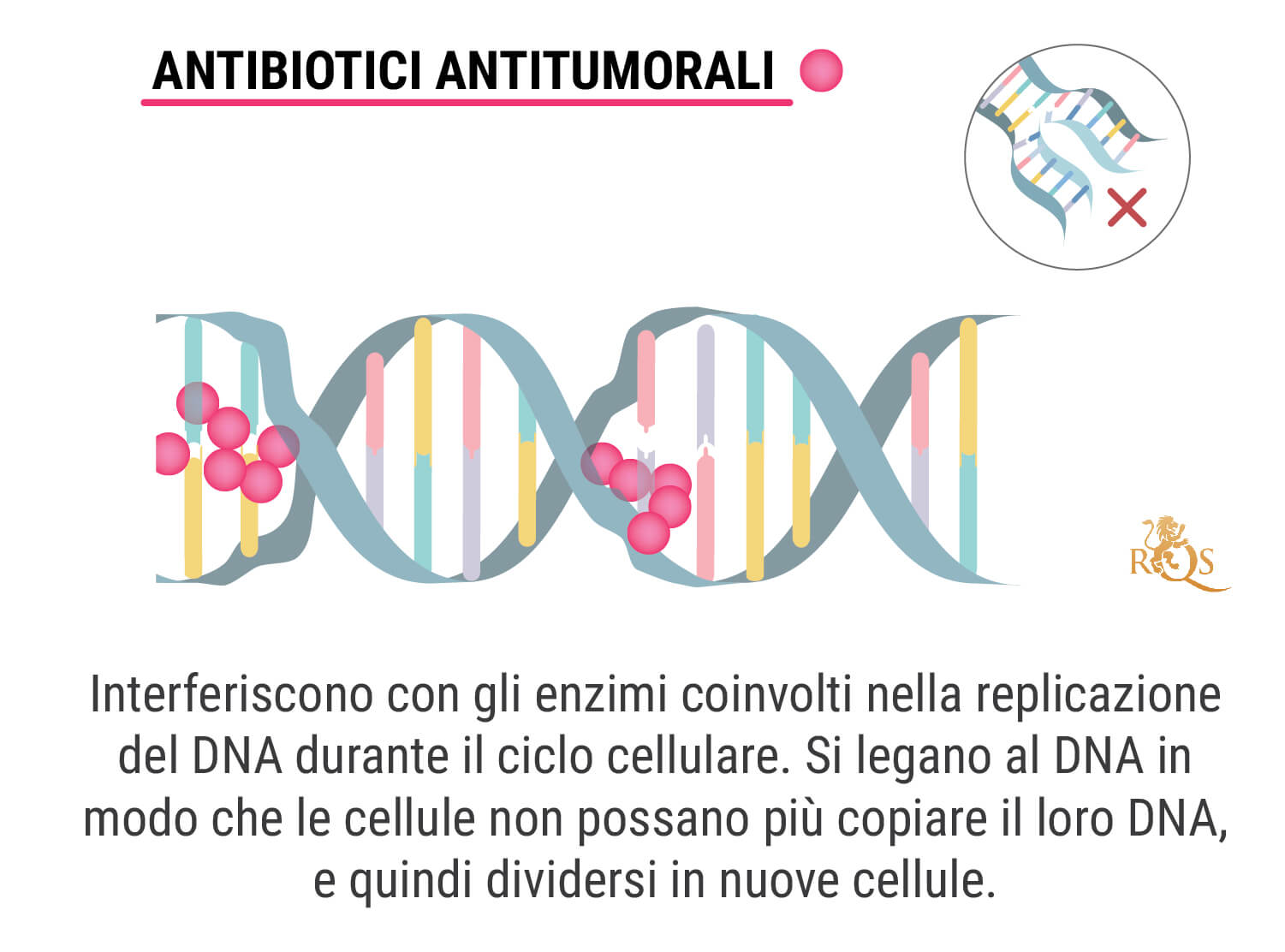 Che cos’è la chemioterapia?