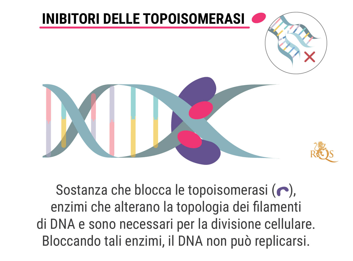 Che cos’è la chemioterapia?