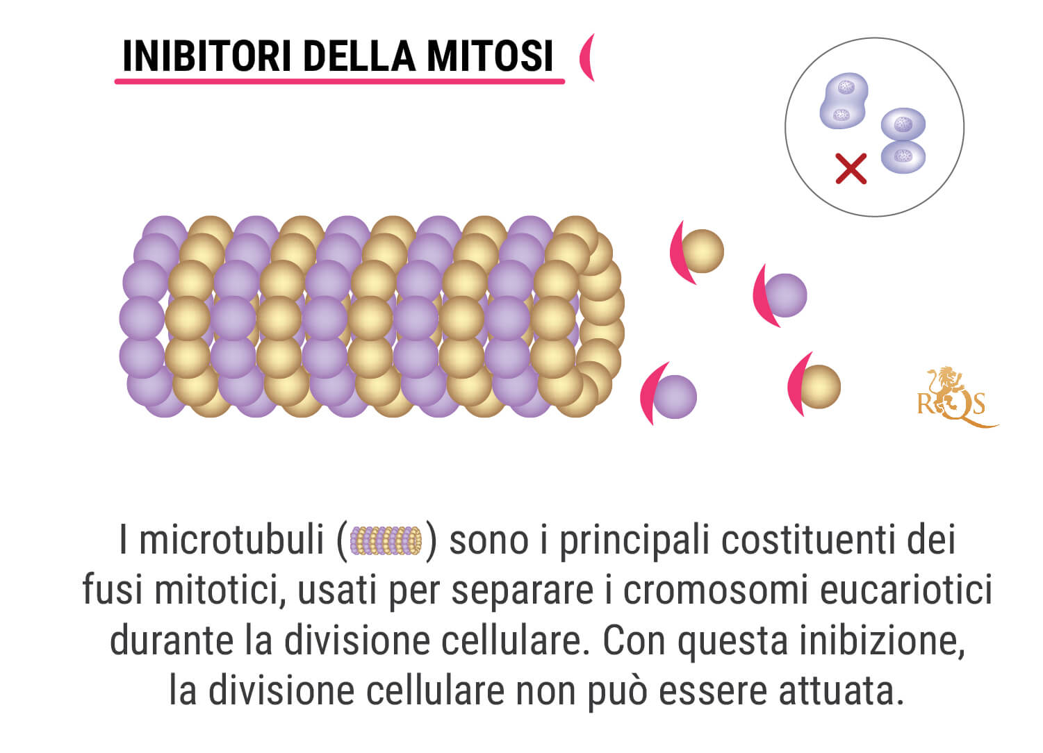 Che cos’è la chemioterapia?