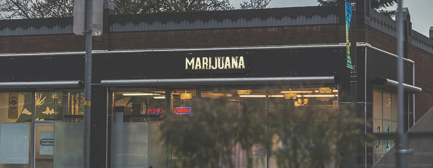 L'educazione pubblica della marijuana impone il dispensario
