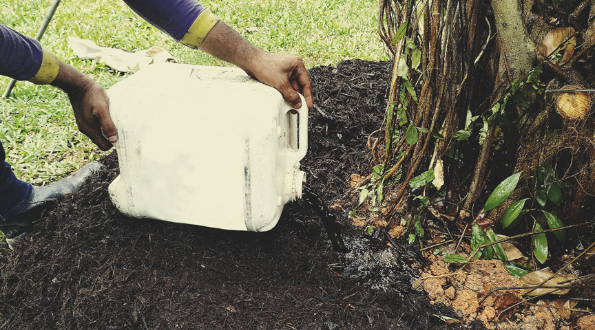 Compost tea