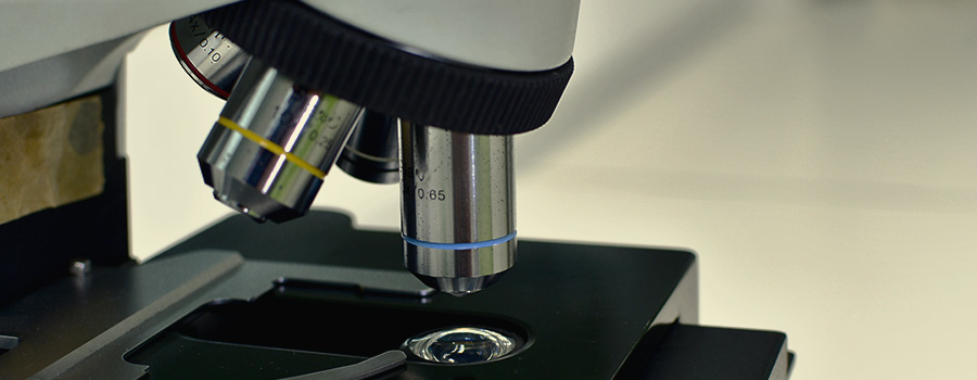 Microscopio composto Microscopio composto
