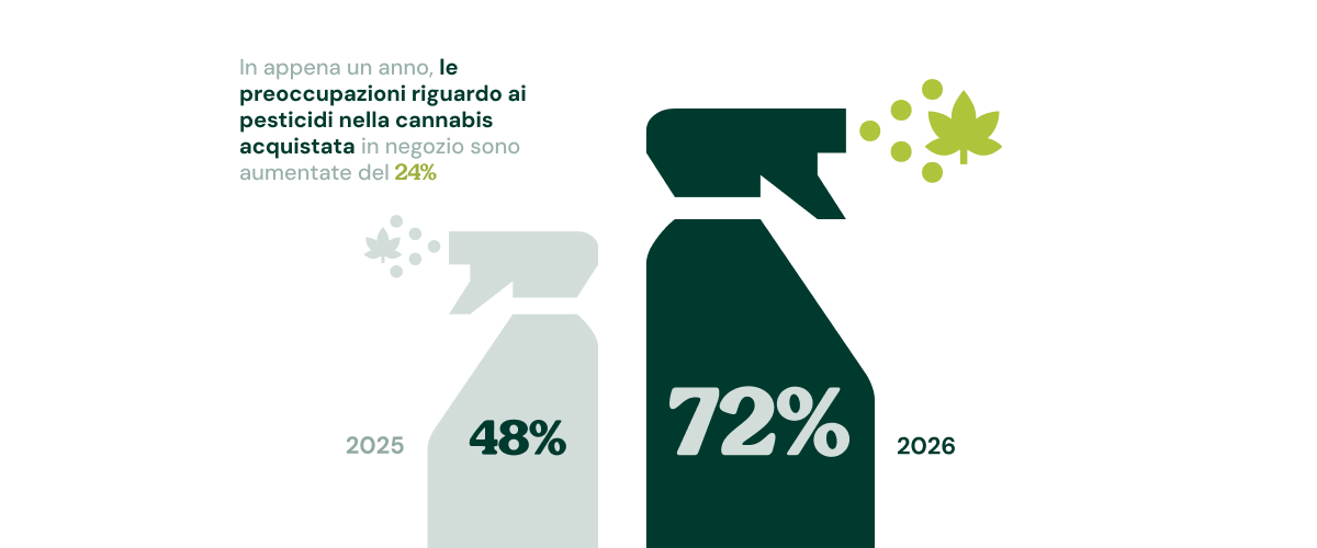La preoccupazione per i pesticidi nella cannabis è in aumento Infografica che mostra come la preoccupazione per i pesticidi nella cannabis acquistata nei negozi sia salita dal 48% nel 2025 al 72% nel 2026.