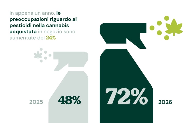 La preoccupazione per i pesticidi nella cannabis è in aumento Infografica che mostra come la preoccupazione per i pesticidi nella cannabis acquistata nei negozi sia salita dal 48% nel 2025 al 72% nel 2026.