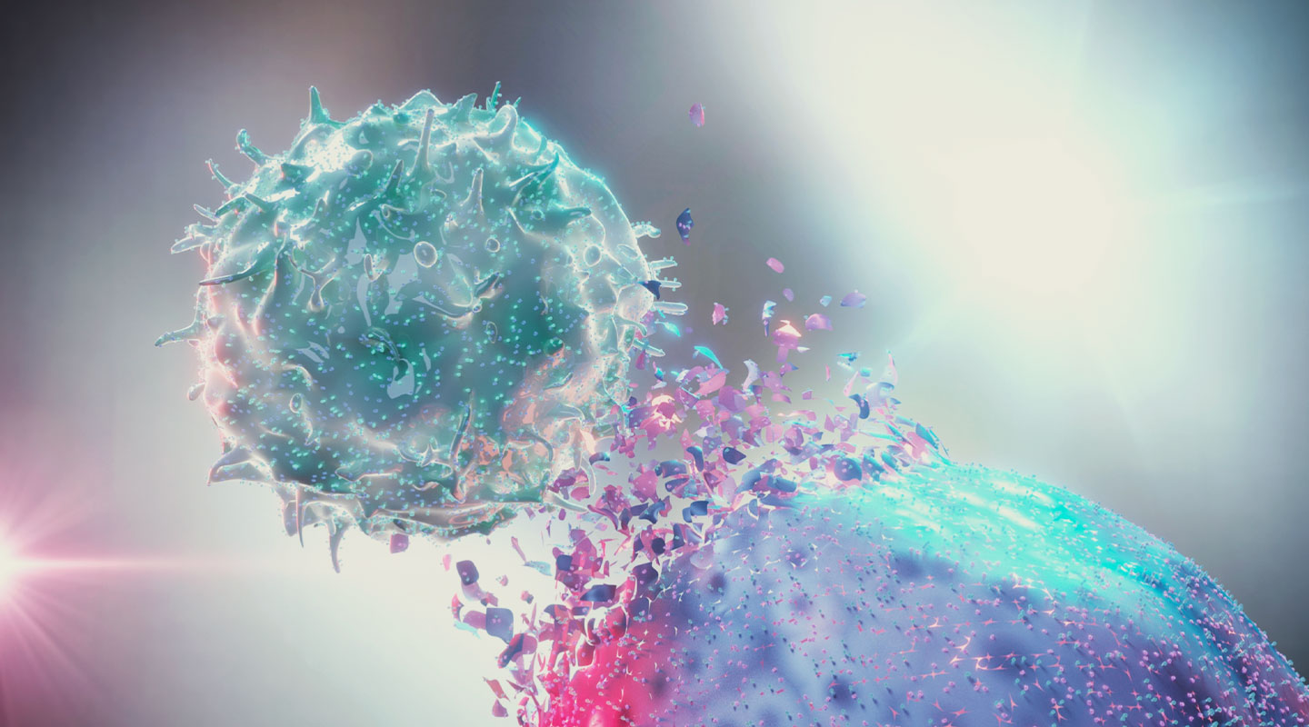Il ruolo del sistema endocannabinoide nel sistema immunitario Il ruolo del sistema endocannabinoide nel sistema immunitario