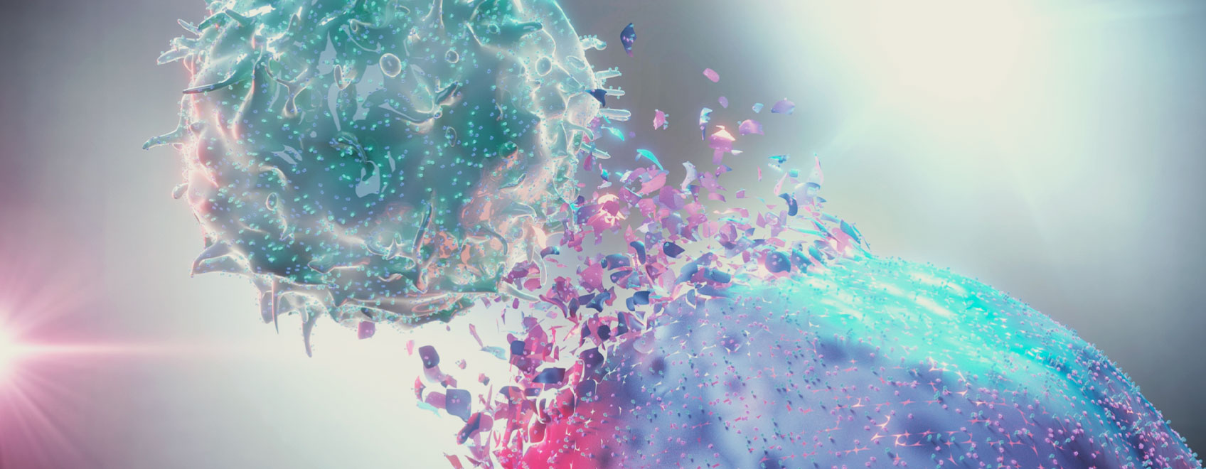 Il ruolo del sistema endocannabinoide nel sistema immunitario Il ruolo del sistema endocannabinoide nel sistema immunitario