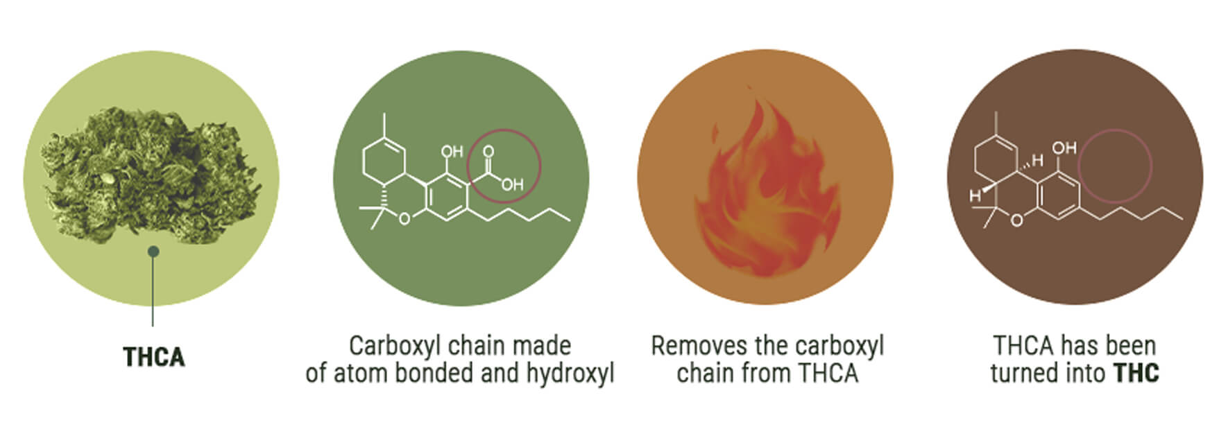 Qual È la Differenza tra THCV e THC?