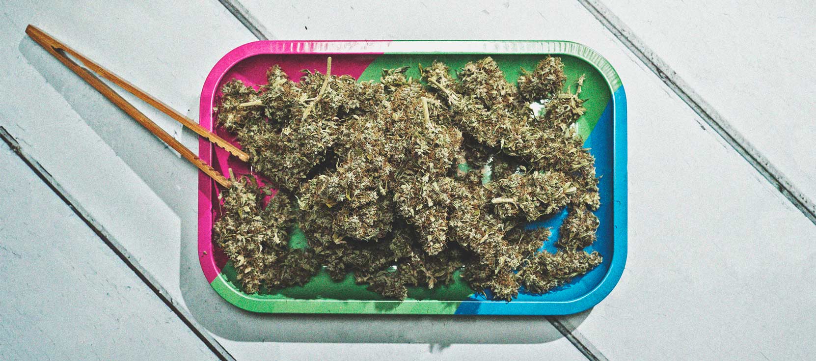 Come Coltivare Cannabis con Cime Dense