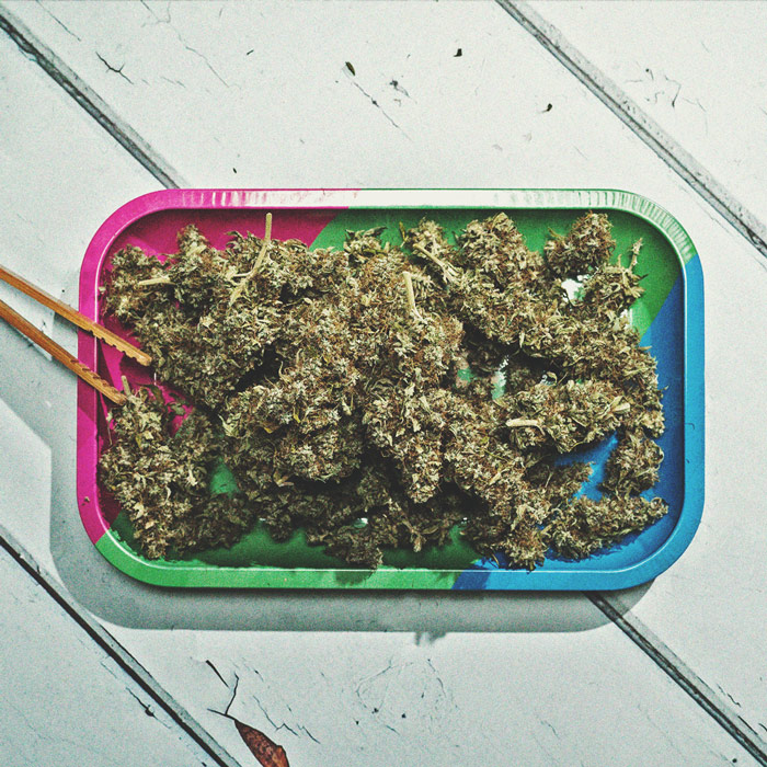 Come Coltivare Cannabis con Cime Dense Come Coltivare Cannabis con Cime Dense
