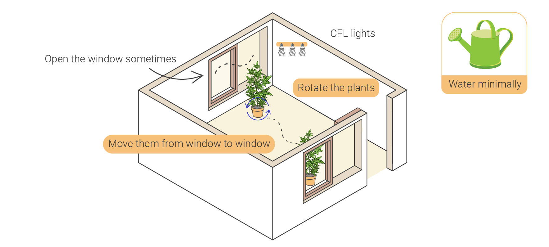 Come coltivare cannabis indoor senza lampade