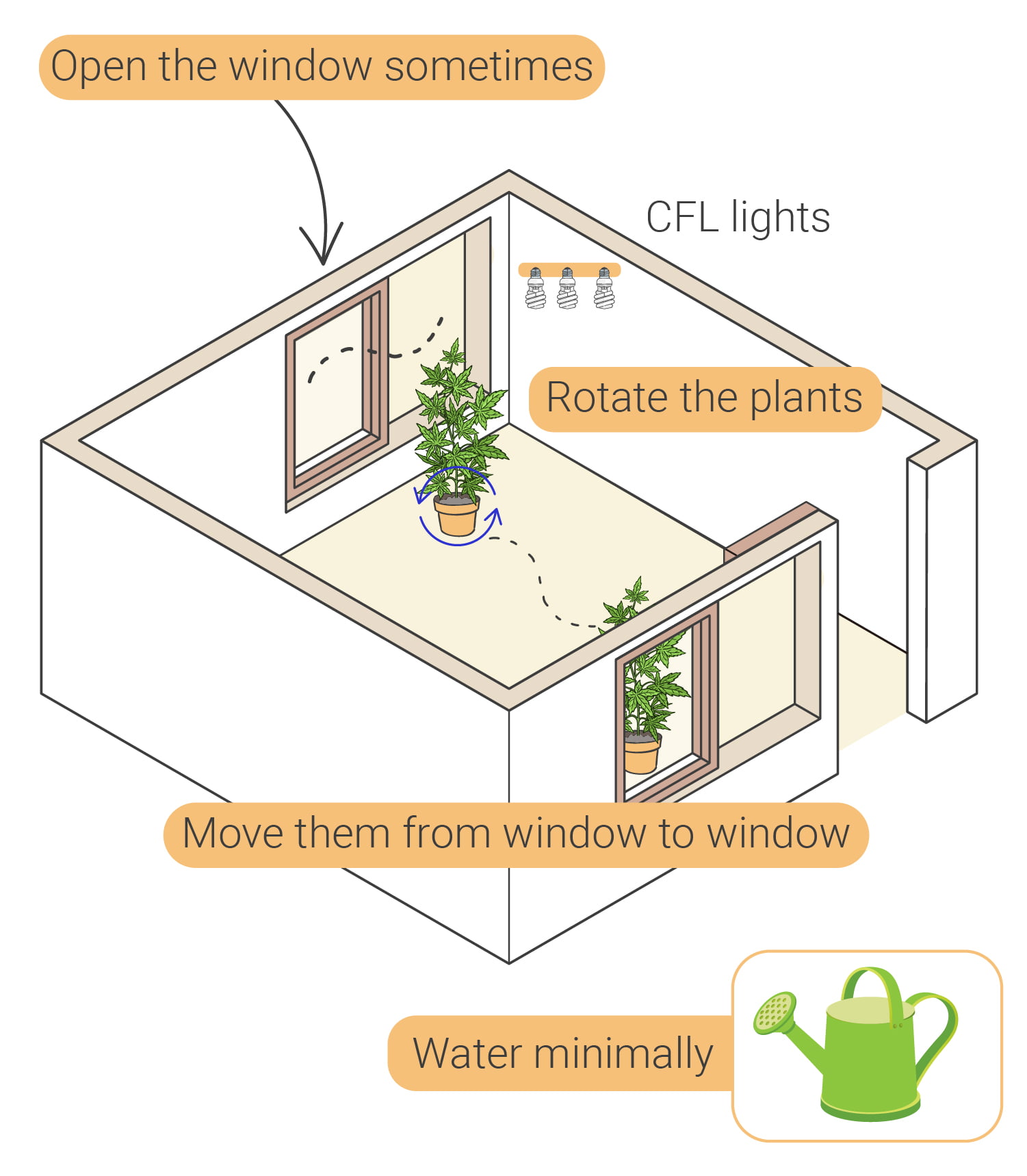 Come coltivare cannabis indoor senza lampade