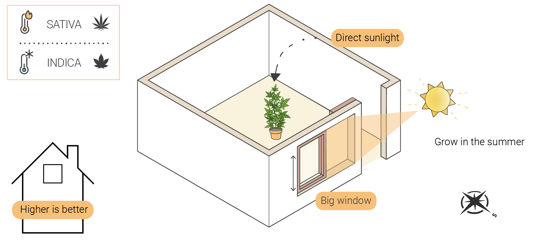 Come coltivare cannabis indoor senza lampade