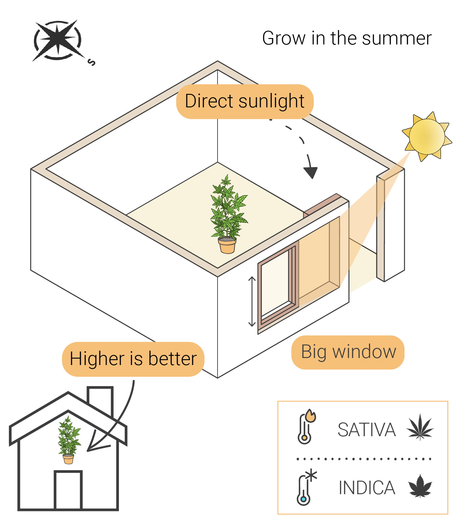 Come coltivare cannabis indoor senza lampade