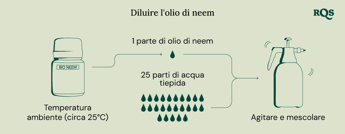 Diluting neem oil