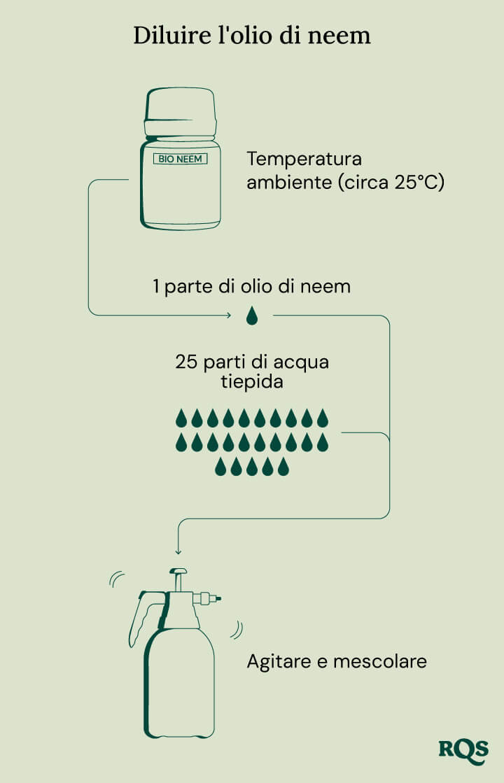 Diluting neem oil