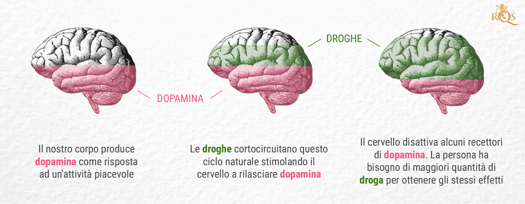 Qual è il legame tra marijuana e dopamina?
