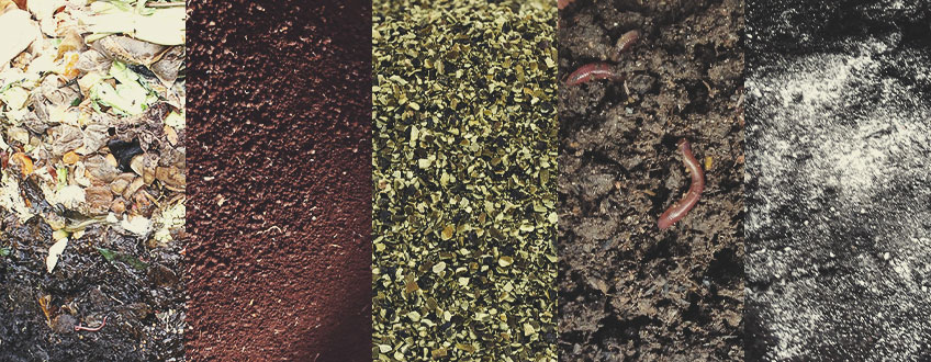 I MIGLIORI AMMENDANTI PER IL TOP DRESSING I MIGLIORI AMMENDANTI PER IL TOP DRESSING