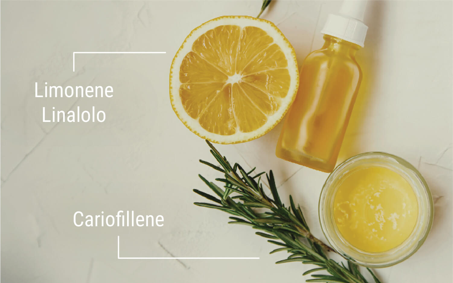 Come Utilizzare i Terpeni per Migliorare l’Effetto Entourage