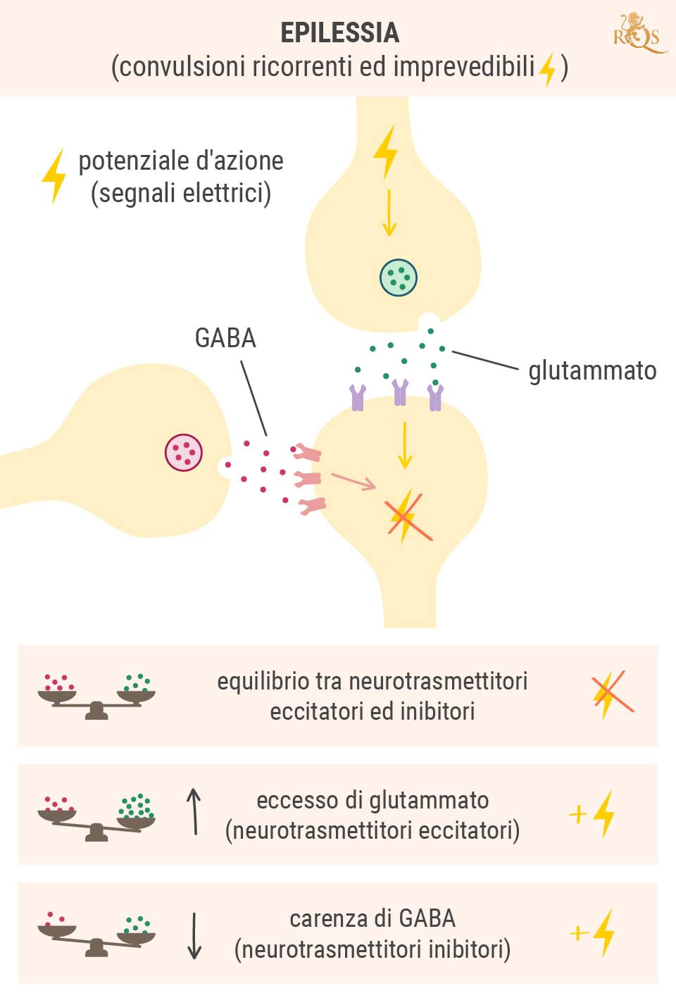 La scienza alla base delle convulsioni