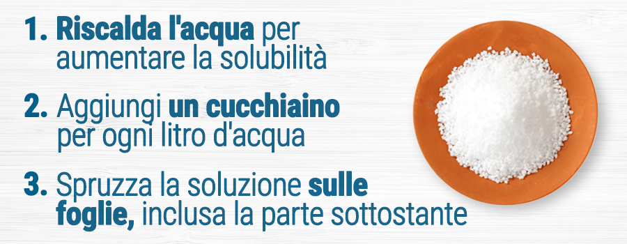 Carenze Di Cannabis Del Sale Epsom Carenze Di Cannabis Del Sale Epsom