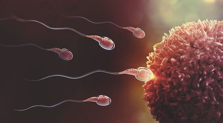 Il legame tra cannabis e fertilità