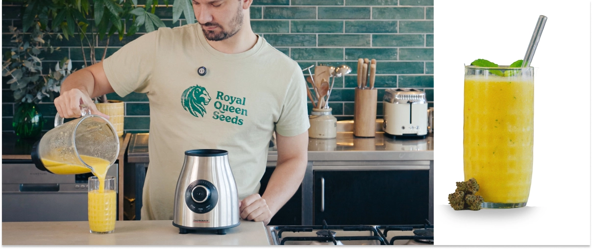 Fasi 4–5: Frullare il frullato alla cannabis fino a renderlo cremoso e servire subito Frullare un frullato alla cannabis e mango e versare la bevanda finita in un bicchiere, pronta da gustare con una consistenza liscia e cremosa.