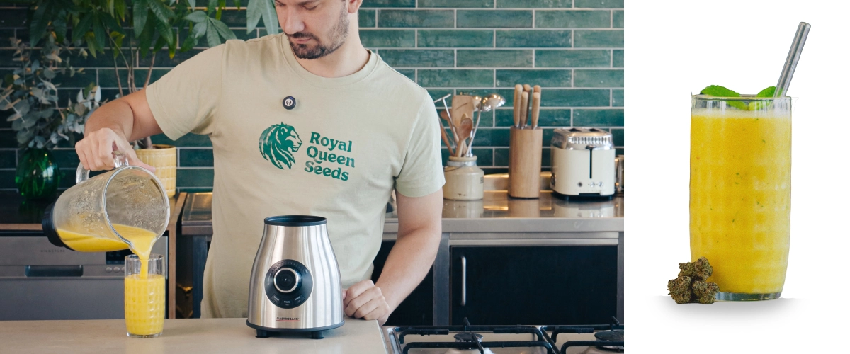 Frullare un frullato alla cannabis e mango e versare la bevanda finita in un bicchiere, pronta da gustare con una consistenza liscia e cremosa.